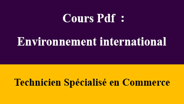 environnement international