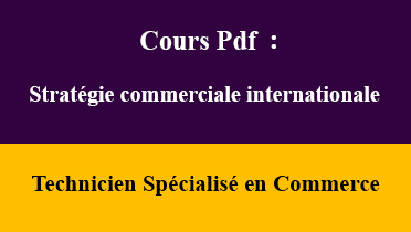 stratégie commerciale internationale