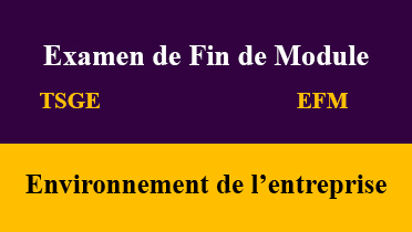 efm environnement de l’entreprise