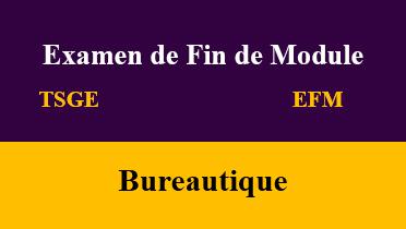efm Bureautique tsge