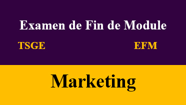 efm Marketing tsge