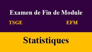 efm Statistiques tsge