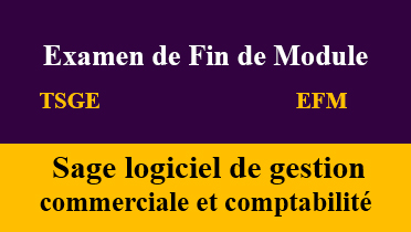 sage logiciel de gestion commerciale et comptabilité