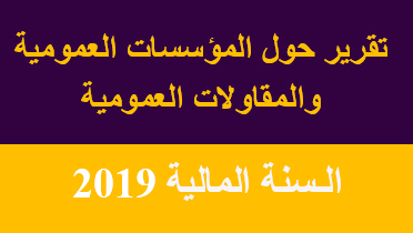 تقرير حول المؤسسات العمومية و المقاولات العمومية