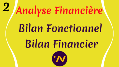 Bilan Fonctionnel Bilan Financier