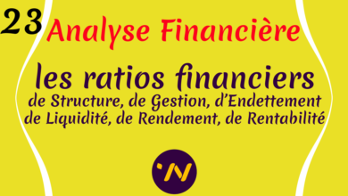 les Ratios Financiers