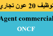 20 Agent commercial ONCF توظيف 20 عون تجاري 
