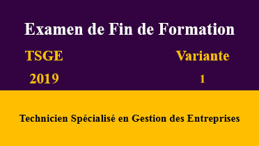 examen de fin de formation tsge 2019